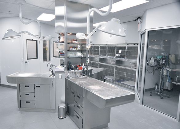 stainless steel application in medical