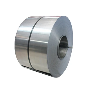P02-5_S04_Coil