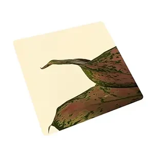 P03-2_S02_3